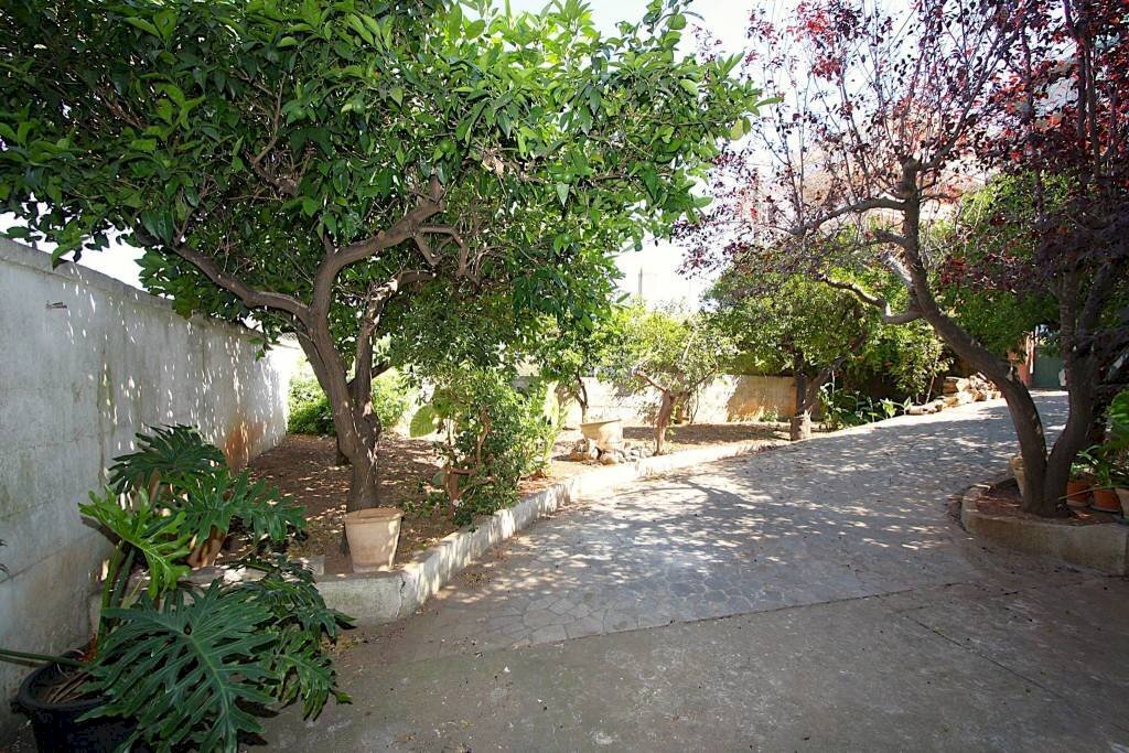 Giardino - Casa indipendente via Estramurale di Ponente, Matino - foto 2