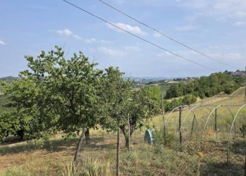 Terreno - Villa Regione San Rocco, Agliano Terme - foto 14