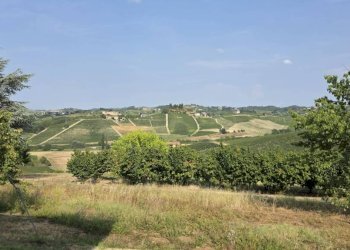 Terreno - Villa Regione San Rocco, Agliano Terme - foto 16