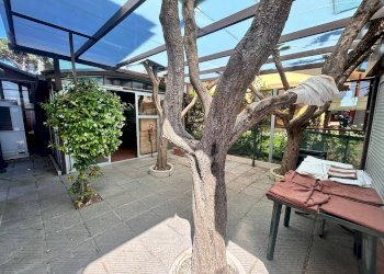 disimpegno - Villa via butterfly, Viareggio - photo 21