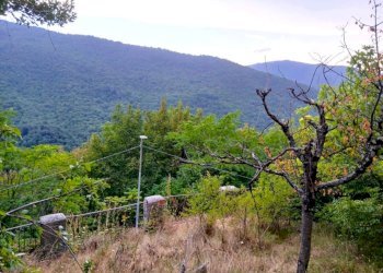 Terreno - Four-room apartment via Case, Davagna - photo 4