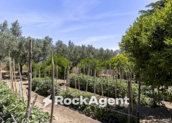 Terreno - Villa Località Zilleria, Montepaone - photo 28