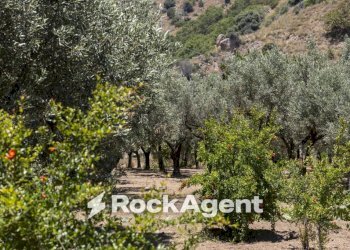 Terreno - Villa Località Zilleria, Montepaone - photo 31