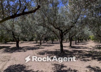 Terreno - Villa Località Zilleria, Montepaone - photo 37