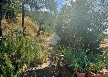 Villa Via Cerreto, Orero - photo 10