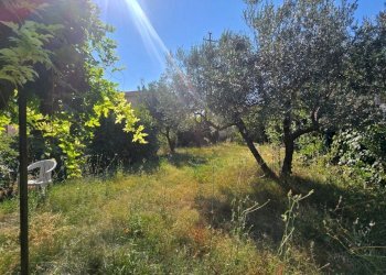 giardino (1) - Porzione di casa Via delle Case 27, Guardea - foto 27