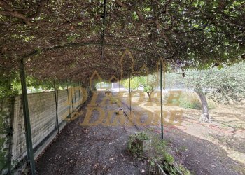 Viale pedonale - Villa Ceriale - photo 6