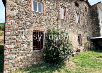 image00005 - Casa indipendente Strada Comunale di Valdottavo 5, Borgo a Mozzano - foto 4