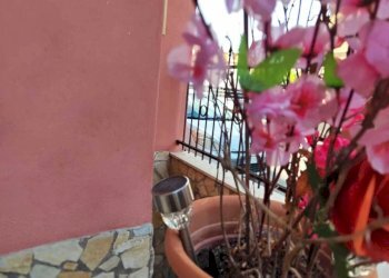 WhatsApp Image 2026-07-16 at 10.50.58 (3) - Appartamento Via Ravenna 20, Guidonia Montecelio - foto 6