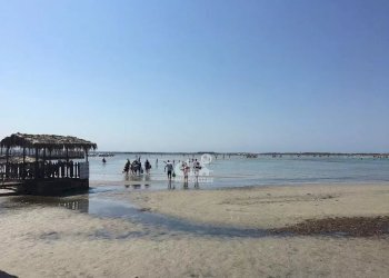 Appartamento in Villa Marsala - foto 36