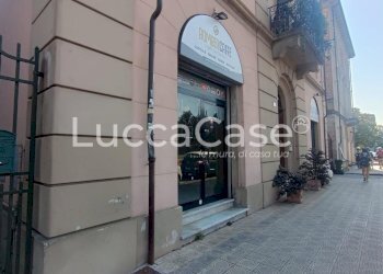 Commercial Premises Lucca (neighborhood San Concordio Contrada) - photo 9