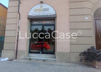 Commercial Premises Lucca (neighborhood San Concordio Contrada) - photo 11