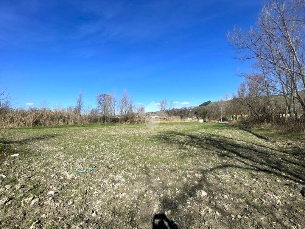 Terreno edificabile Via Provinciale, Montecalvo in Foglia - foto 1