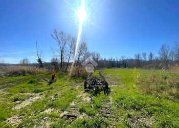 Terreno edificabile Via Provinciale, Montecalvo in Foglia - foto 4