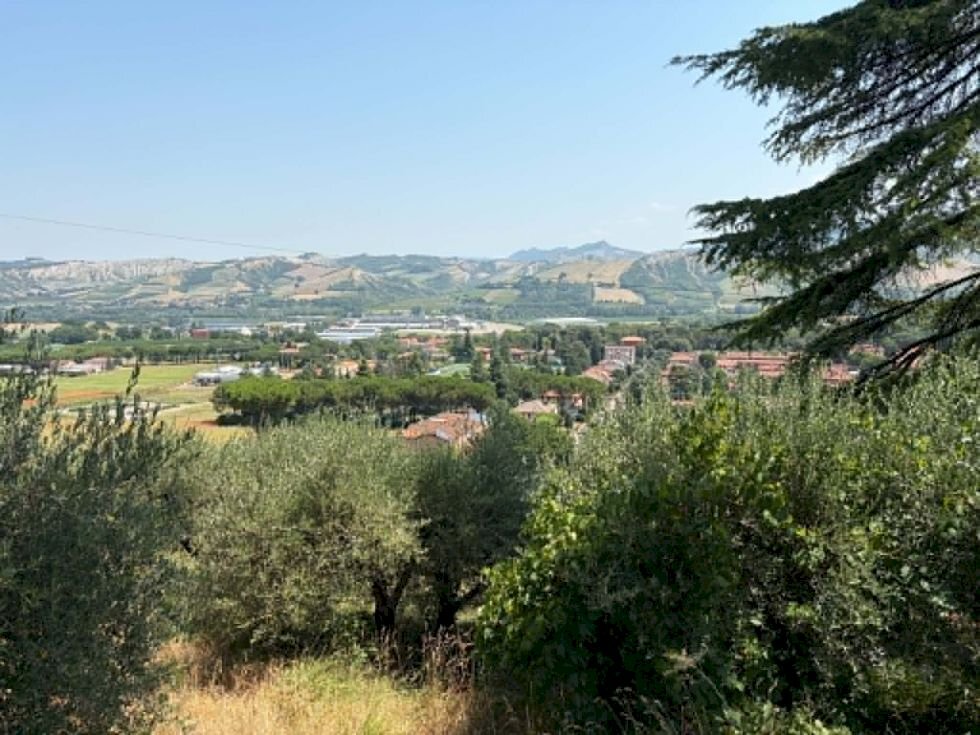 Agricultural land Casalfiumanese - photo 1