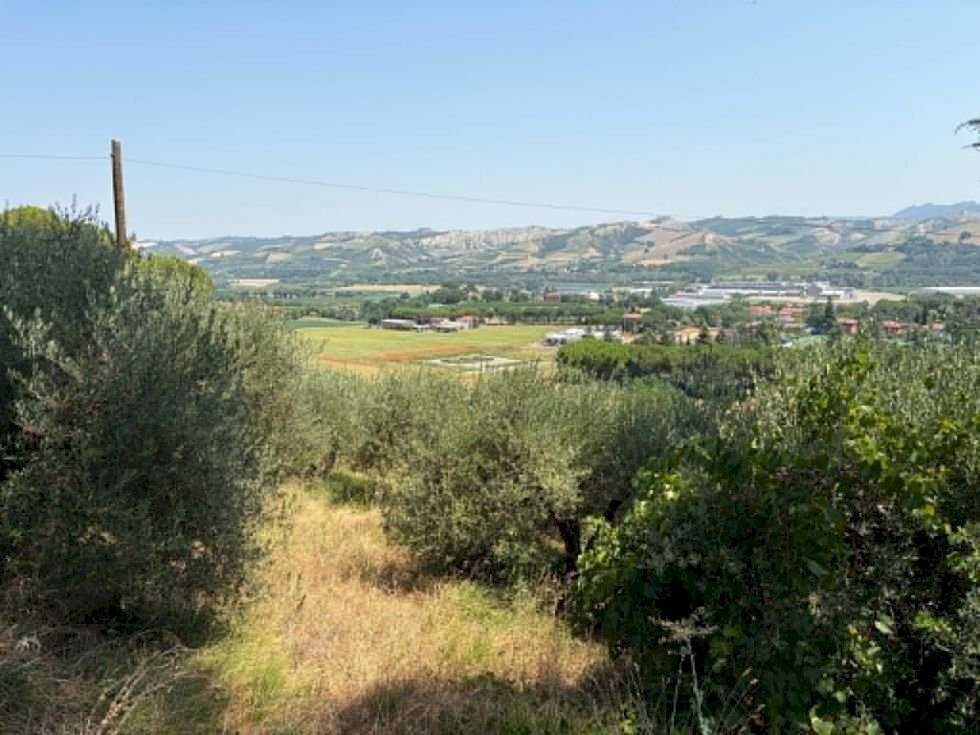 Agricultural land Casalfiumanese - photo 3