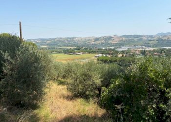 Agricultural land Casalfiumanese - photo 3