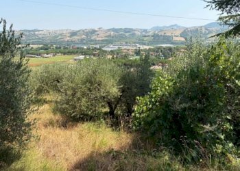 Agricultural land Casalfiumanese - photo 4