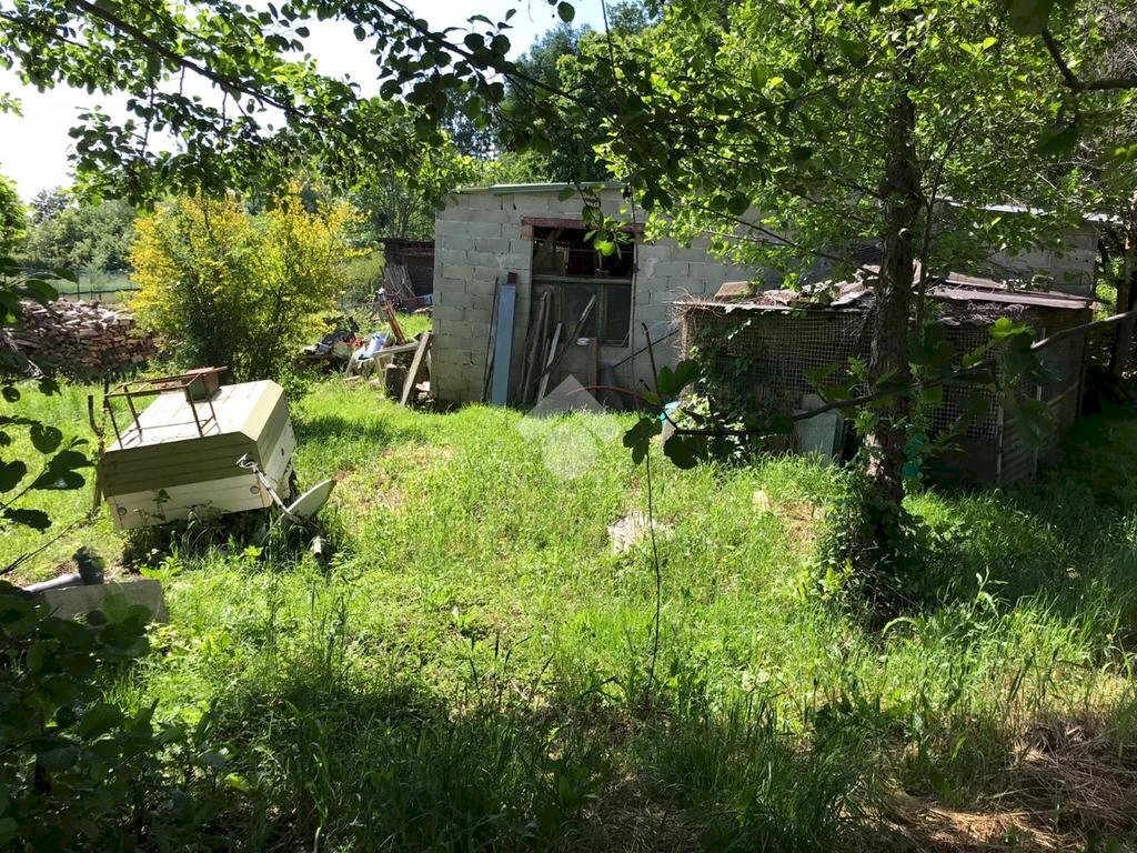 Rustic Regione galli, Piossasco - photo 3
