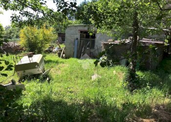 Rustic Regione galli, Piossasco - photo 3