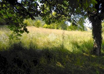 Rustic Via Braidella, Prignano sulla Secchia - photo 7