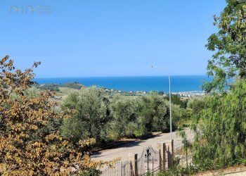 Foto 7 - Terreno edificabile Contrada Fonte Pezzana, Acquaviva Picena - foto 7
