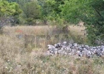 Giardino - Terreno agricolo SR479
 
1, Villetta Barrea - foto 4