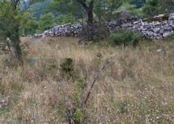 Non correlato - Terreno agricolo SR479
 
1, Villetta Barrea - foto 5