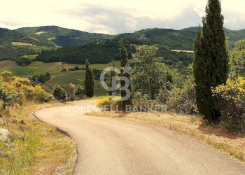 Foto 33 - Rustico Via Berleta, Rocca San Casciano - foto 33