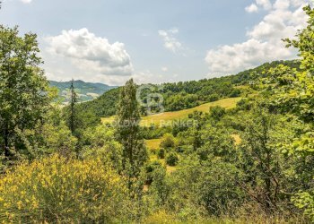 Foto 34 - Rustico Via Berleta, Rocca San Casciano - foto 34