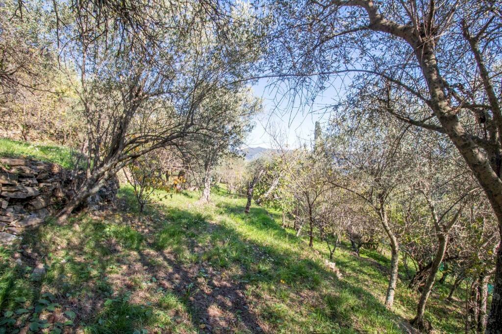 Terreno - Casa indipendente via Costa Secca, Santa Margherita Ligure - foto 3