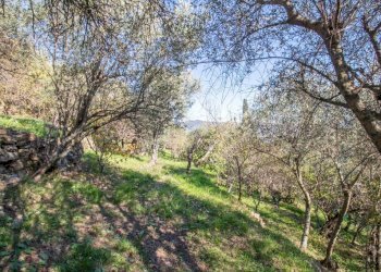 Terreno - Casa indipendente via Costa Secca, Santa Margherita Ligure - foto 3