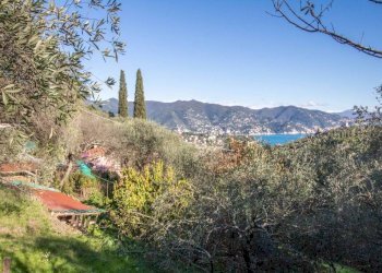 Vista - Casa indipendente via Costa Secca, Santa Margherita Ligure - foto 10
