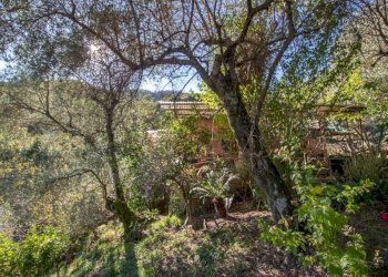 Terreno - Casa indipendente via Costa Secca, Santa Margherita Ligure - foto 13
