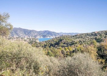 Vista - Casa indipendente via Costa Secca, Santa Margherita Ligure - foto 15