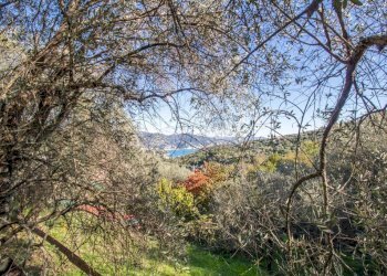 Terreno - Casa indipendente via Costa Secca, Santa Margherita Ligure - foto 16