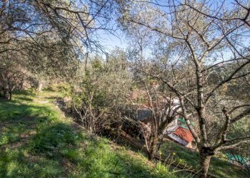 Terreno - Casa indipendente via Costa Secca, Santa Margherita Ligure - foto 17