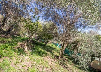 Terreno - Casa indipendente via Costa Secca, Santa Margherita Ligure - foto 18