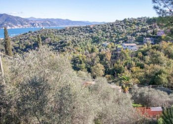 Vista - Casa indipendente via Costa Secca, Santa Margherita Ligure - foto 20