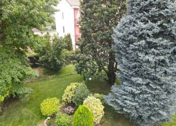 Giardino - Villa vicolo Tassoni, 4, Carmagnola - photo 23