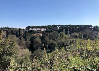 vista - Quadrilocale via Vallombrosa, Roma - foto 8