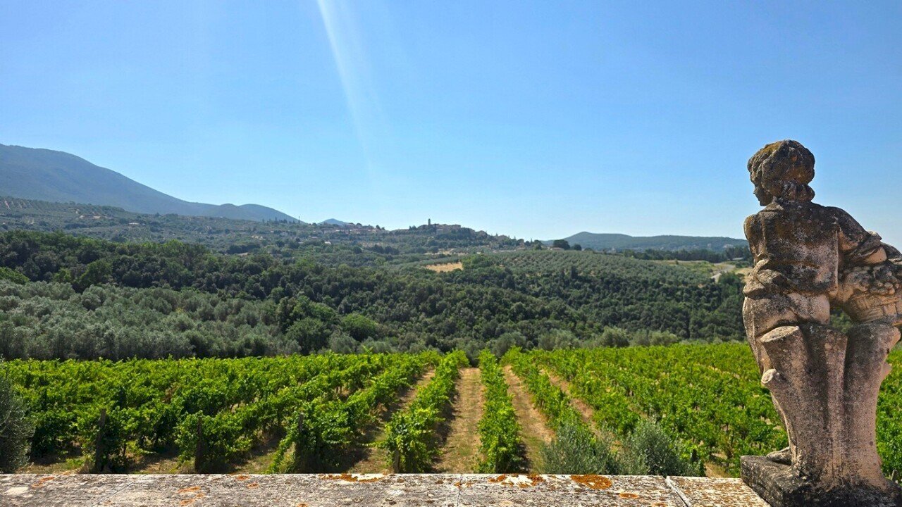 land - Casale Via Selvarella 2-6, Montecchio - photo 2