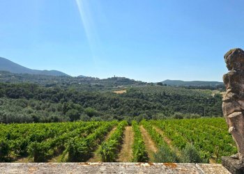 land - Casale Via Selvarella 2-6, Montecchio - foto 2