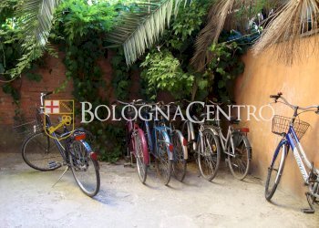 Three-room apartment Bologna (neighborhood Centro Storico) - photo 17