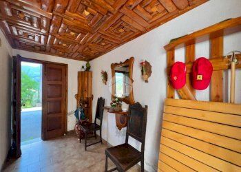 Villa Frazione mollar michele, Viù - foto 7