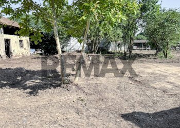 Giardino - Rustico Via Bosco
 
1, Langosco - foto 4