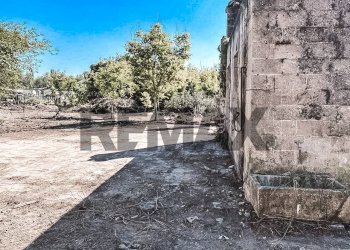 Non correlato - Rustico Via Bosco
 
1, Langosco - foto 5