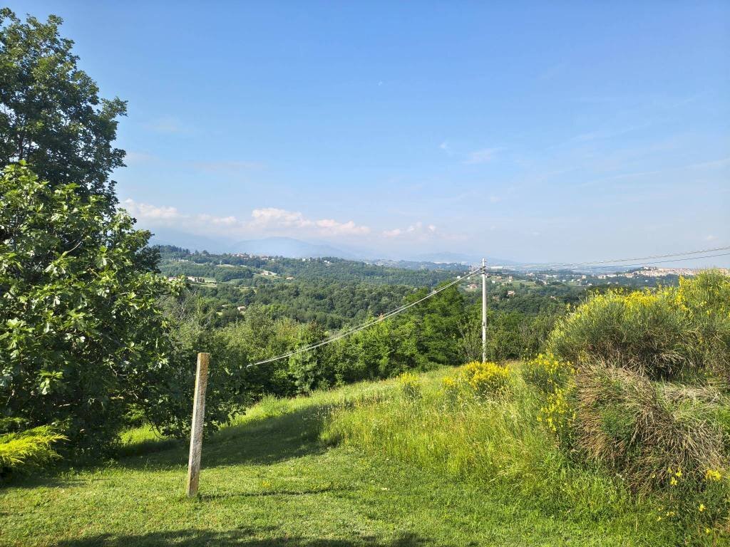 Terreno - Terreno edificabile Località Chiambrani, Briaglia - foto 3