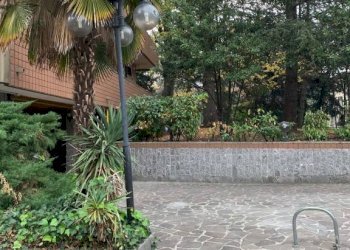 Giardino - Appartamento via Bruno Parisio, 28, Bologna (zona Murri) - foto 18