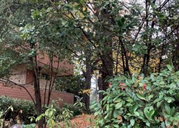 Giardino - Appartamento via Bruno Parisio, 28, Bologna (zona Murri) - foto 19
